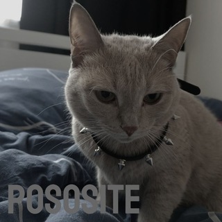@pososiww