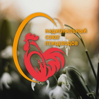 @poultryunion