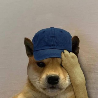 @Pousw