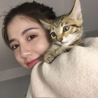 @pp5218