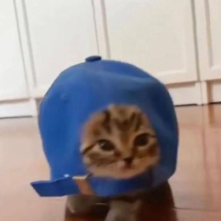 @ppallpaybot