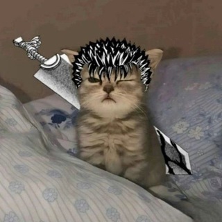 @prav_nurik_iixx