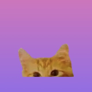 @Prekrasnoyesozdanie