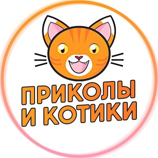 Приколы и Котики