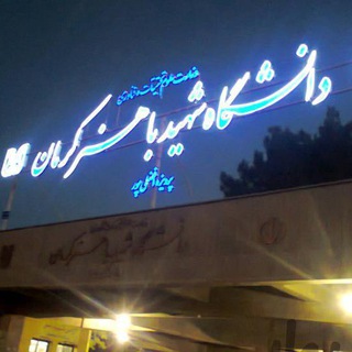 ترجمه حرفه ای