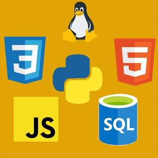 AIO Programming | Python | SQL | HTML | CSS | Javascript | API