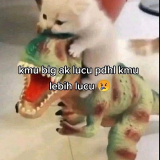 @Proofdcast