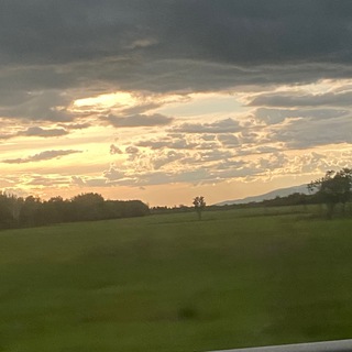 Названия нет