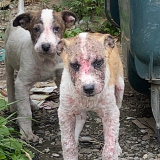 @Protyani_ruku_lapam_07