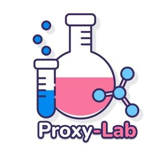Proxy Lab