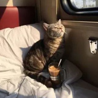 Психология