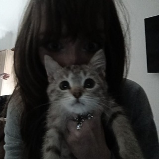 @purrmuy