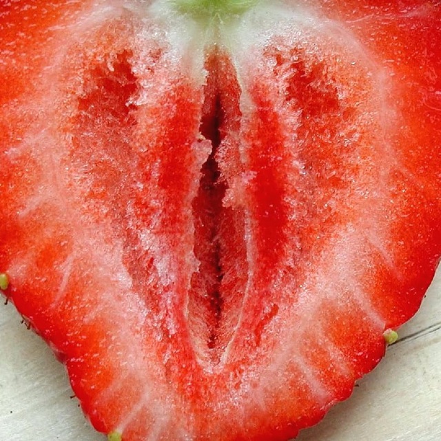 PUSSY