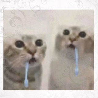 @q16444C06664L