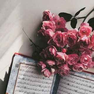 @qat_kt