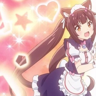 @qeexwt