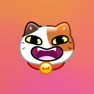 @qeezvv