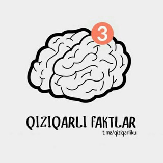 QIZIQARLIKU💡