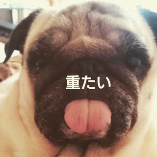 @qqizly