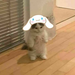 @QuaintiellesBot