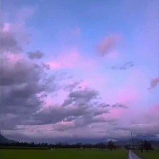 @qun_she_bot