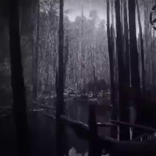 @QZQQR
