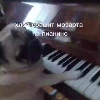 @radmises
