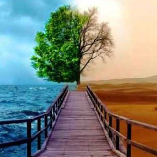@rahebehtarchannel
