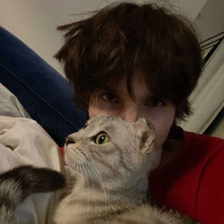 @rainlegend