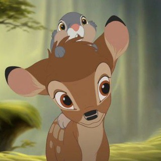 @rawan_worldi
