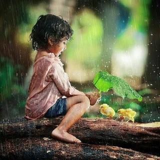 @Raz_Moein