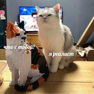 @Rea7ist