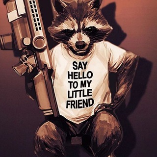 Recon Raccoon