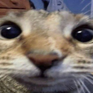 @ReFr3SH1
