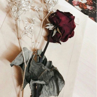 @rehana98