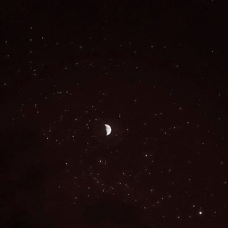@Reigesocial