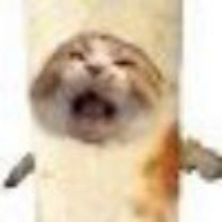@renminbao