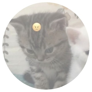 @richiloy