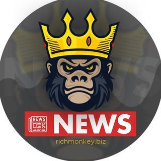 🐵RichMonkey⚡️Invest & Crypto