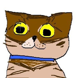 @rinpurrs