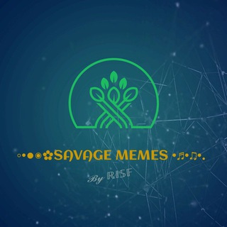 @Risf_Meme