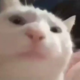 Nik