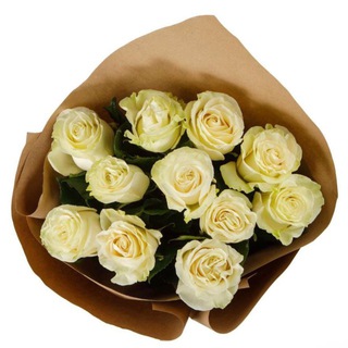 @rose_day1010111