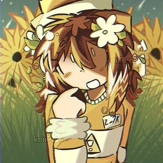 @ROUNDXP