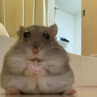 @rrrr0p