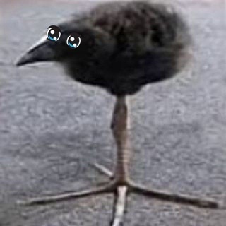 @RTYIXD