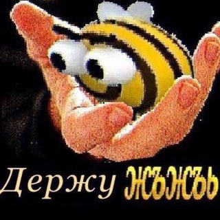 @rudinss