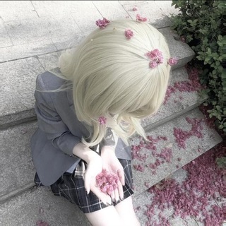 @Rui_338