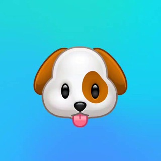 @runzeppelin_info