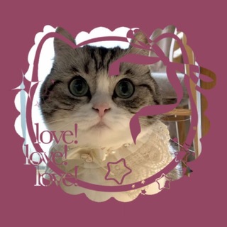 @S7hu_0